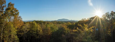 Wake up to breathtaking views and the warm embrace of the morning sun. ☀️🌿 Enjoy your coffee as nature paints a masterpiece right outside your window—pure tranquility awaits!"