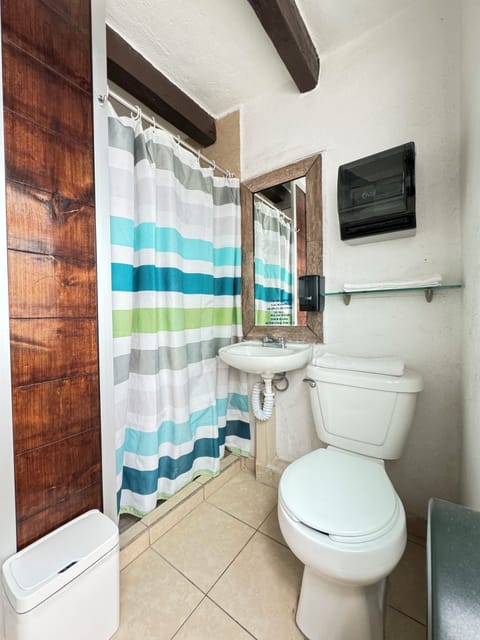 Standard Double Room | Bathroom | Shower, towels, soap, shampoo