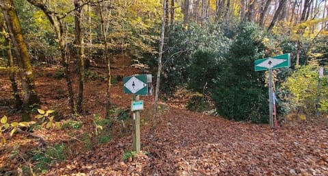 Head of the Appalachian Trail across from Natahala outdoor center
