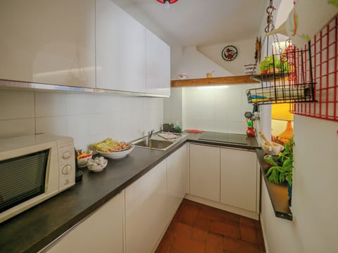 Comfort Duplex, City View | Private kitchen | Fridge, microwave, oven, stovetop