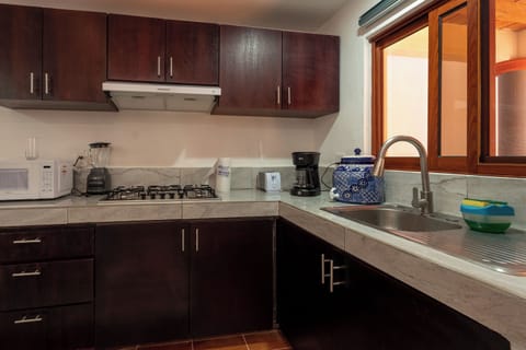 Superior Apartment | Private kitchen