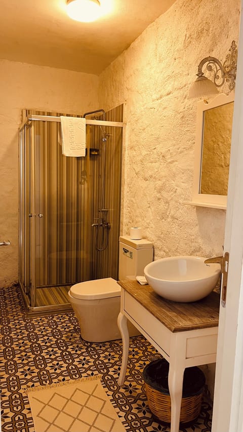 Superior Double Room | Bathroom | Shower, free toiletries, hair dryer, towels