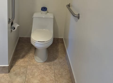 Standard Room, 2 Queen Beds, Handicap Accessible | Bathroom | Combined shower/tub, deep soaking tub, free toiletries, hair dryer