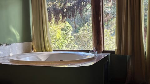 Superior Studio, Courtyard View | Private spa tub