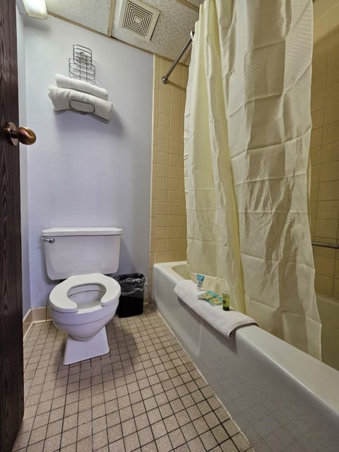 Deluxe Room | Bathroom | Combined shower/tub, free toiletries, hair dryer, towels