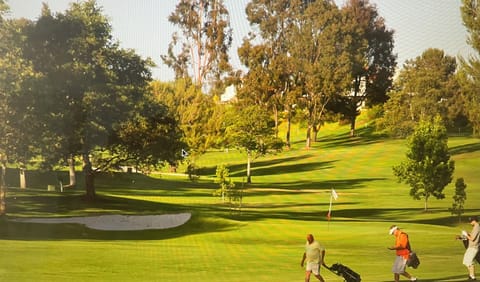 18 Hole Executive Golf Course