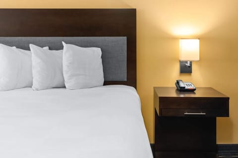 Standard Room, 1 King Bed | In-room safe, desk, iron/ironing board, free WiFi