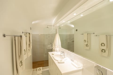Suite (Porcelain) | Bathroom | Shower, rainfall showerhead, free toiletries, hair dryer