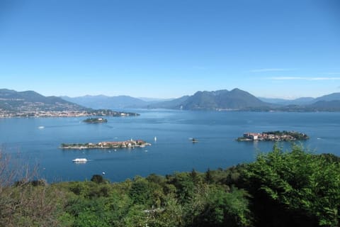 Region [summer] (>5 km)