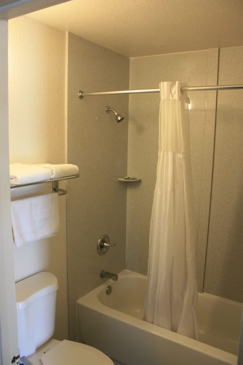 Standard Double Room, 2 Double Beds | Bathroom | Combined shower/tub, hair dryer, towels
