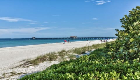 Beach nearby, white sand