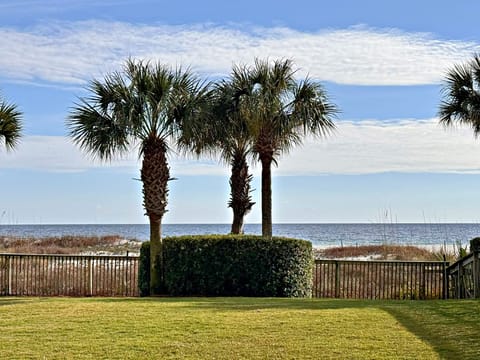 Condo, Multiple Beds, Hot Tub (Regency Isle 501) | Beach/ocean view