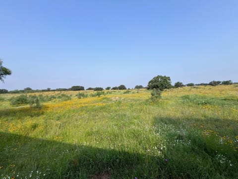 Rolling hillsides, distant granite cliffs, deer, fox, rabbits, butterflies...