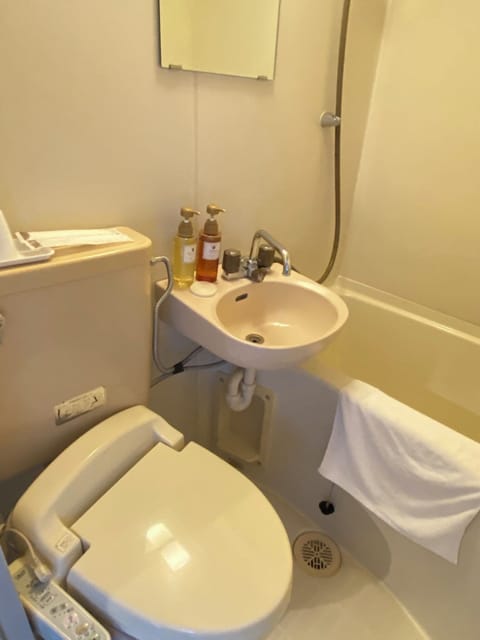 Combined shower/tub, free toiletries, hair dryer, towels