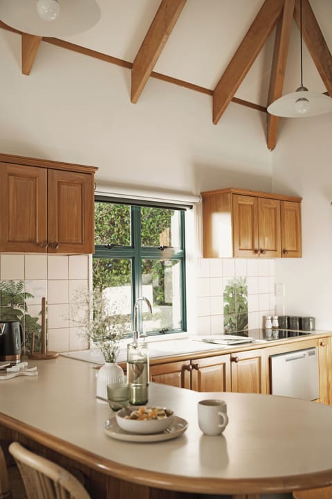 Full-size fridge, microwave, oven, stovetop