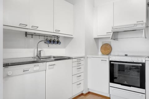 Premium Apartment | Private kitchen | Fridge, oven, stovetop, electric kettle