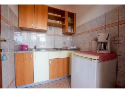 Apartment (double Room) | Private kitchen | Fridge