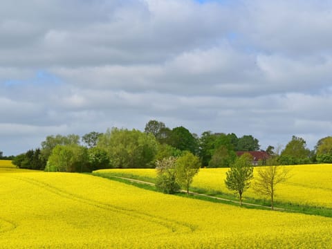 Apartment | View from property