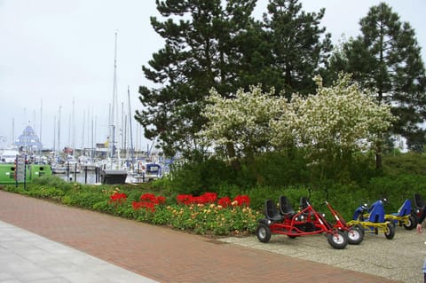 House | View from property