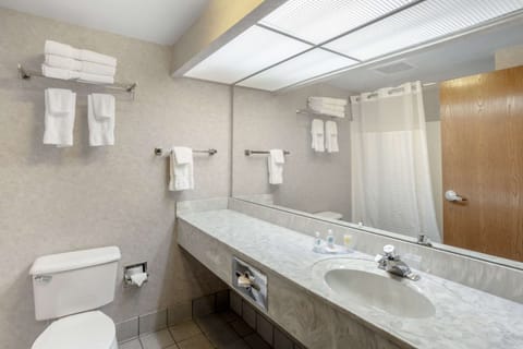 Premium bedding, iron/ironing board, rollaway beds, free WiFi