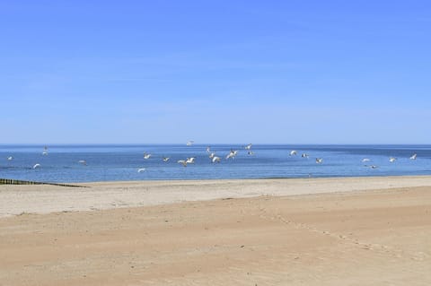 Apartment | Water view