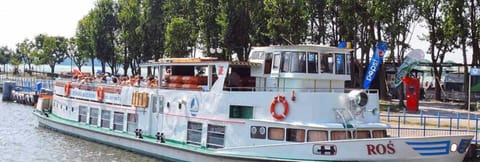 House | View from property