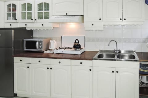 Apartment | Private kitchen | Electric kettle