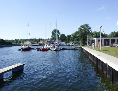 House | View from property