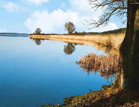 Apartment | View from property