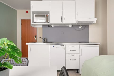 Comfort Double Room | Private kitchen | Mini-fridge, stovetop, dishwasher, cookware/dishes/utensils