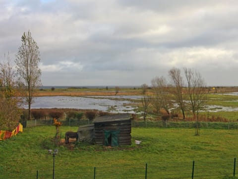 House | View from property