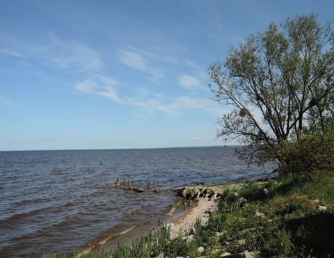 House | View from property