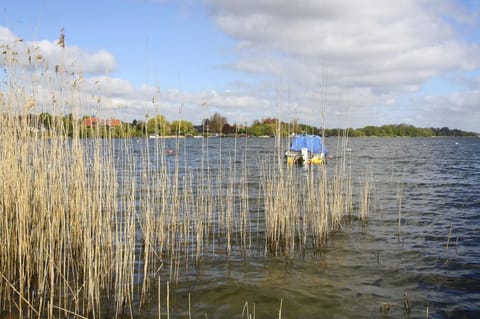 House | View from property