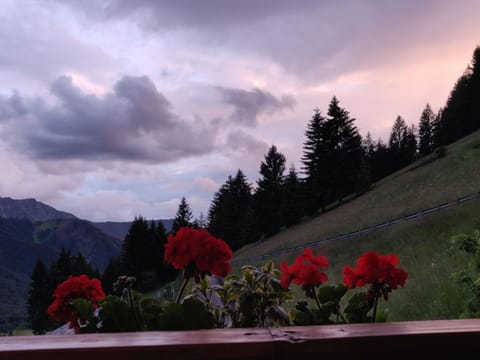 Apartment | View from property