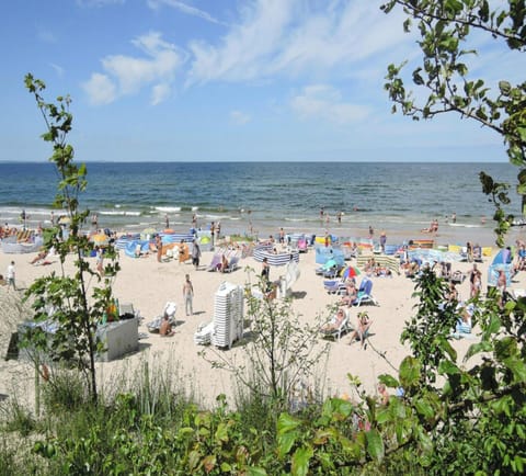 House | View from property