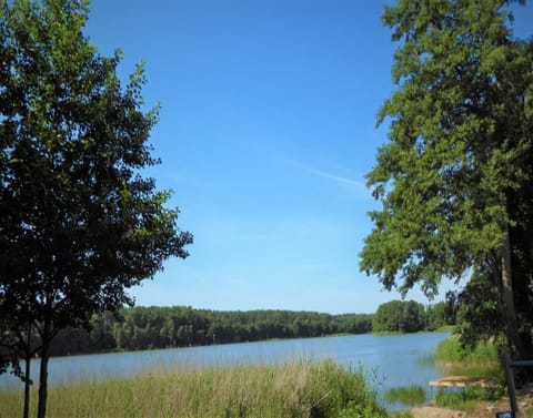 House | View from property