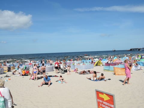 House | View from property