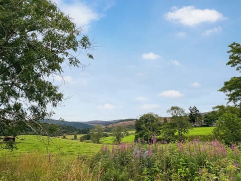 Surrounding area | Crioch at Newlands, Glenisla, near Blairgowrie