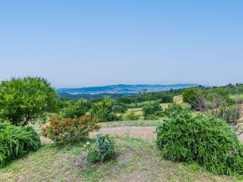Sky, Plant, Natural Landscape, Flower, Land Lot, Grass, Groundcover, Grassland, Tree, Landscape