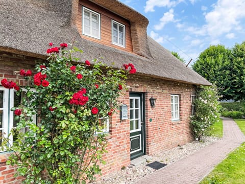 Plant, Flower, Building, Window, Property, Cloud, House, Sky, Cottage, Brickwork