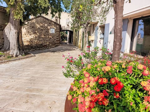 Flower, Plant, Building, Leaf, Tree, Petal, Road Surface, Biome, Grass, Wall