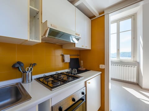 Plant, Sky, Building, Property, Window, House, Wood, Land Lot, Cottage, Stairs