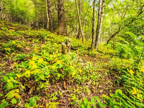 Property, Water, Sky, Interior Design, Building, Swimming Pool, Leisure, Shade, Tree, Condominium