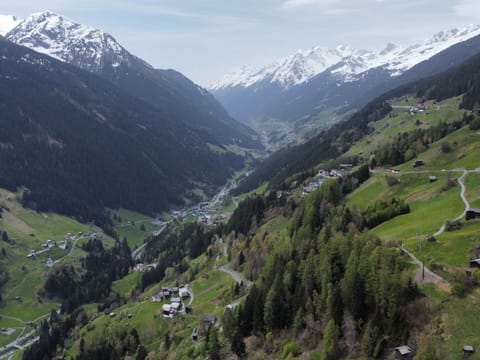 Mountain, Sky, Cloud, Plant, Nature, Snow, Tree, Natural Landscape, Slope, Highland