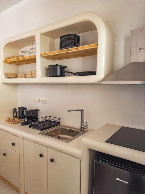 Comfort Apartment with kitchenette 4 | Private kitchen | Mini-fridge, stovetop, cookware/dishes/utensils