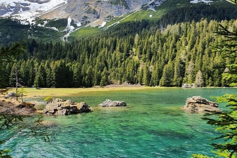 Surroundings [summer] (1-5 km)