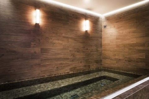 Sauna, spa tub, body treatments, Swedish massages, facials