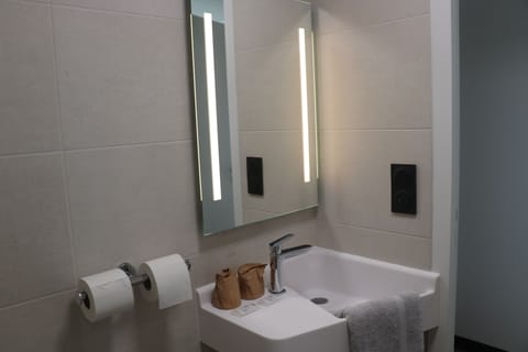 Standard Double Room | Bathroom | Shower, hydromassage showerhead, hair dryer, towels