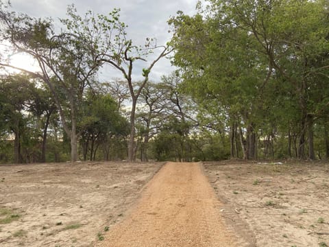 NOTE: The Yurts are not located on the River but only a quick walk away!