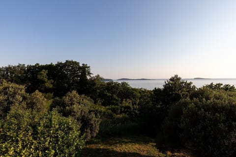 Immediate Surroundings [summer] (<1 km)